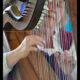 Kathy Harkness, Celtic Harper